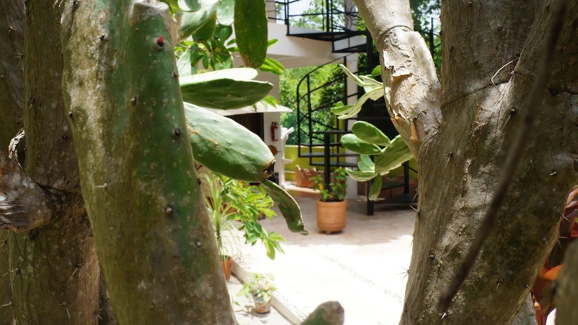 Villa Zenaliza Tulum 3*,