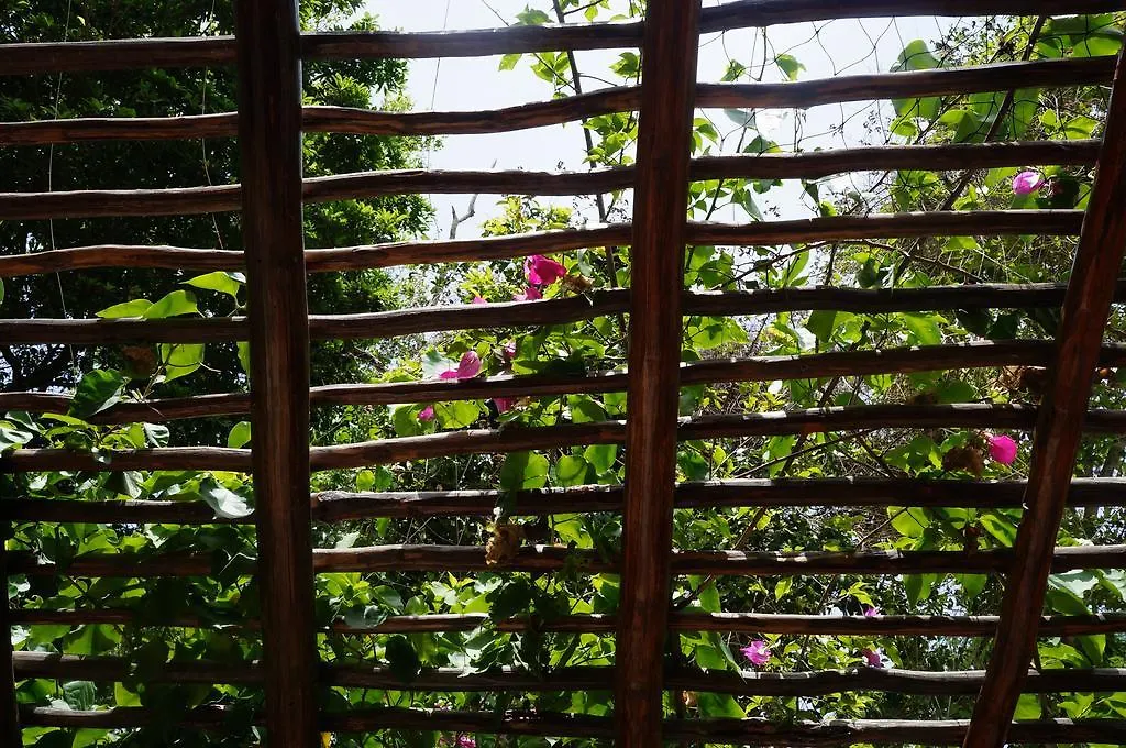 Bed & Breakfast Villa Zenaliza Tulum