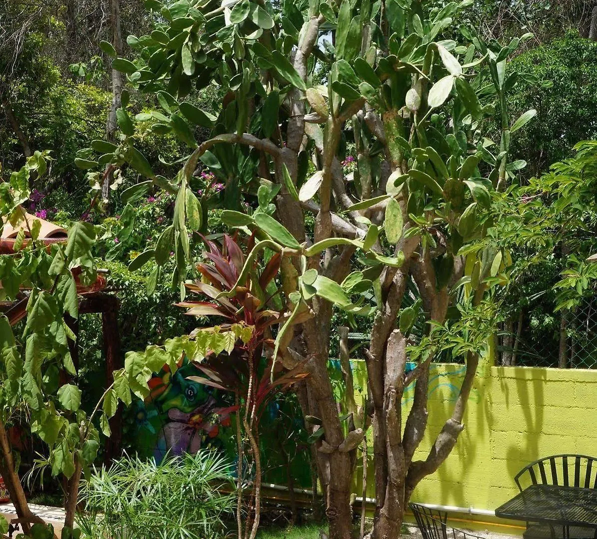 Bed & Breakfast Villa Zenaliza Tulum