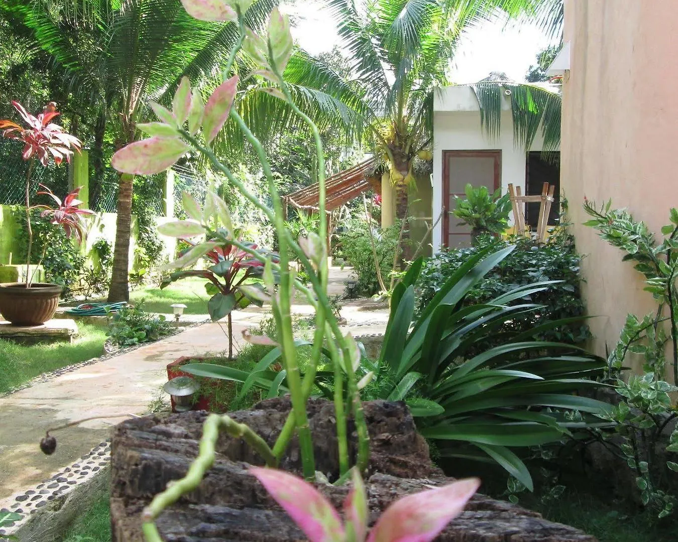 Bed & Breakfast Villa Zenaliza Tulum